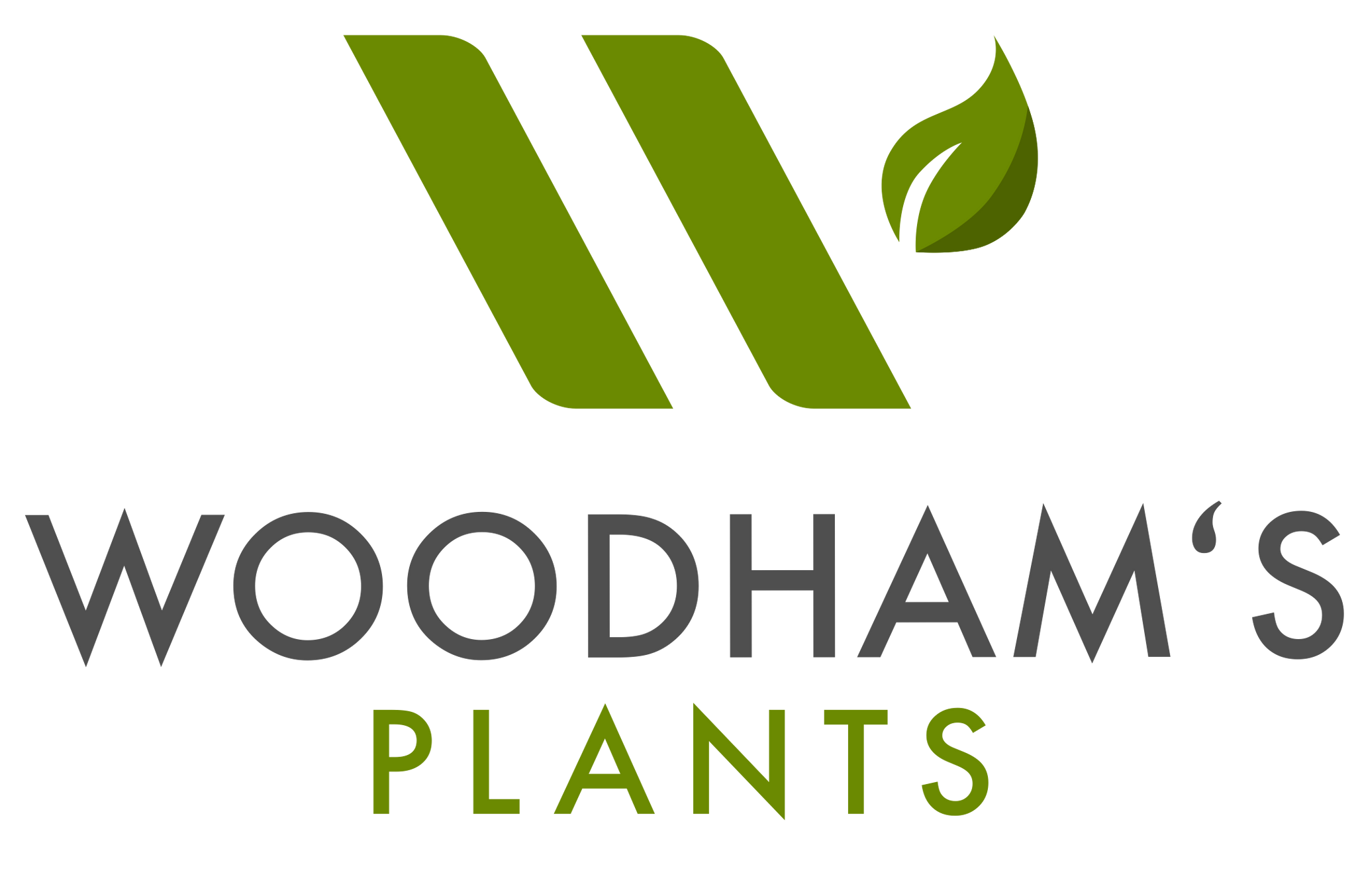 Garden Plant Maintenance – Woodhams Plants